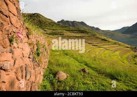 Blick vom Inka Zitadelle von Pisac Ruinen, Pisac, Heiliges Tal, Peru, Südamerika Stockfoto