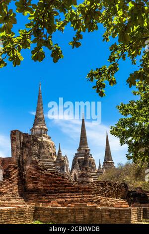 Wat Phra Si Sanphet, Ayutthaya, Thailand Stockfoto