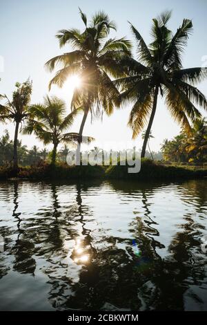 Keralan Backwaters, North Paravoor, Kerala, Indien Stockfoto