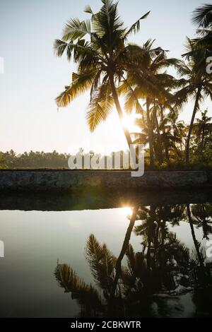 Keralan Backwaters, North Paravoor, Kerala, Indien Stockfoto