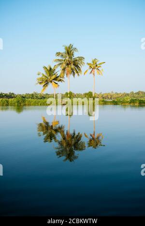 Keralan Backwaters, North Paravoor, Kerala, Indien Stockfoto