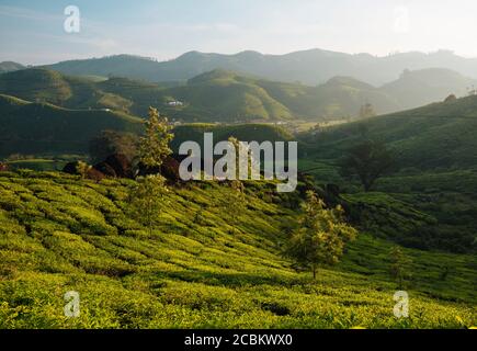 Sonnenaufgang über Hügeln und Tal, Top Station, Kerala, Indien Stockfoto
