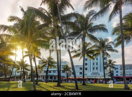 Art déco-Hotels in Ocean Drive und Palmen in Lummus Park, Miami Beach, Florida, USA Stockfoto