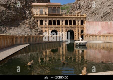 Der Galta Tempel (bekannt als Monkey Temple) in der Nähe von Jaipur, Rajasthan, Indien Stockfoto