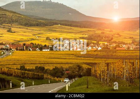 Landstraße und Weinberge auf der Route des vins Dalsace, Frankreich Stockfoto