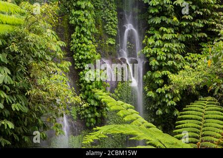 Benang Kelambu Wasserfall, Lombok, Indonesien Stockfoto