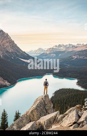 Mann stehend, Blick auf Aussicht, Aussichtspunkt mit Blick auf Peyto Lake, Lake Louise, Alberta, Kanada Stockfoto