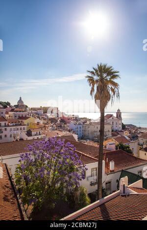 Blick auf das Meer über den Dächern, Lissabon, Portugal Stockfoto