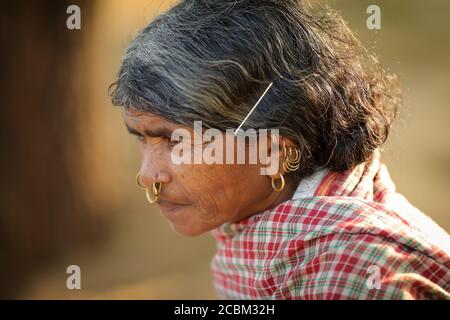 Dongria Kondh Stammesfrau in einem ländlichen Dorf in der Nähe von Rayagada, Odisha, Indien. Stockfoto