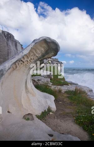 Schaumig stong Wellen krachen in den Ozean Stockfoto