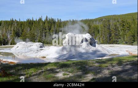 Spätfrühling im Yellowstone National Park: Grotto Geyser & Rocket Geyser Vent im Upper Geyser Basin als Early Evening Shadows Close in Stockfoto