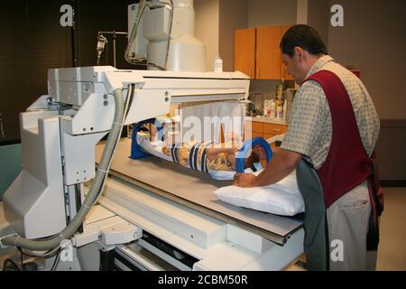 Austin, Texas, USA, 2006: Vater mit Bleischürze beobachtet seinen 10 Monate alten hispanischen Jungen, der sich in einem medizinischen Bildgebungszentrum einem oberen Magen-Darm-Eingriff unterziehen muss. Der Patient schluckt eine kleine Menge Barium (weiße, kalkige Flüssigkeit), während ein Arzt über einen Zeitraum von etwa 15-20 Minuten eine Reihe fluoroskopischer Röntgenstrahlen beobachtet. Das Barium hebt Speiseröhre, Hals und Oberdarm hervor, so dass der Arzt die Nahrung sehen kann, während sie die Speiseröhre hinunter in den Magen und in den ersten Teil des Dünndarms wandert. ©Marjorie Cotera/Daemmrich-Fotografie Stockfoto