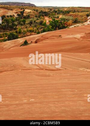 Crossbedding im orangefarbenen Slickrock-Mitglied des Entrada-Sandsteins in Moab, Utah, West-USA Stockfoto