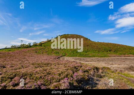 ROS Hill, Standort des eisenzeitlichen Hügels von Ros Castle, Chilingham, Northumberland, Großbritannien Stockfoto