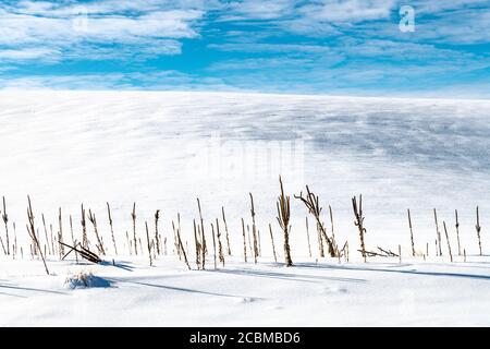 Winterlandschaft im Palouse, WA Stockfoto