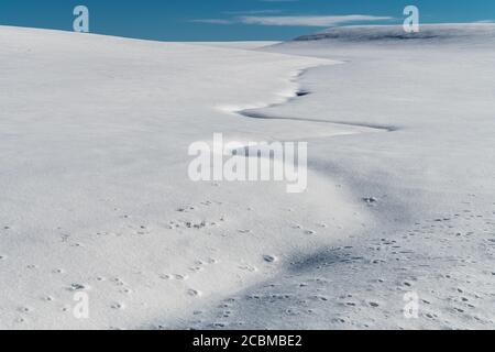 Winterlandschaft im Palouse, WA Stockfoto