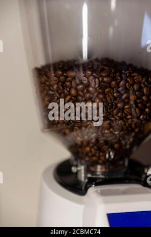 Trichter für professionellen Barkaffee mit Kaffeebohnen im Inneren Stockfoto