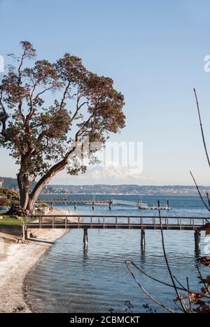 Blick südwärts vom Eingang zum Festland zur Fox Island Bridge in Gig Harbor, Washington, Richtung Mt. Rainier. Zeigt private Docks. Stockfoto