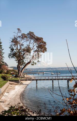 Blick südwärts vom Eingang zum Festland zur Fox Island Bridge in Gig Harbor, Washington, Richtung Mt. Rainier. Zeigt private Docks. Stockfoto