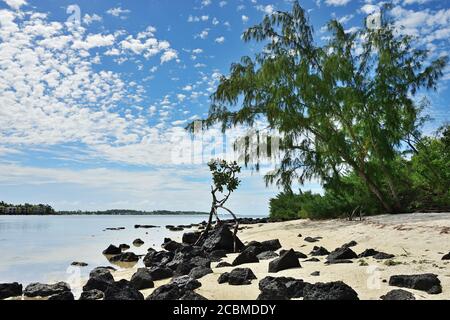 Tropische Küste mit schwarzen vulkanischen Felsen an der Westküste Der Insel Mauritius Stockfoto