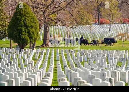 US Army marine Beerdigung Sarg auf dem Pferd Trainer Stockfoto