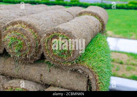 Neuer Rasen im Garten Rollen von frischem Gras Rasen verwendet werden Stockfoto