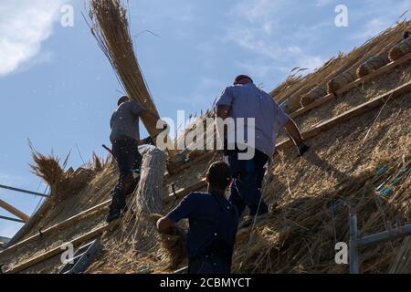 Handwerker bedeckt neues Dach mit Schilf Stockfoto