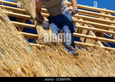 Handwerker bedeckt neues Dach mit Schilf Stockfoto