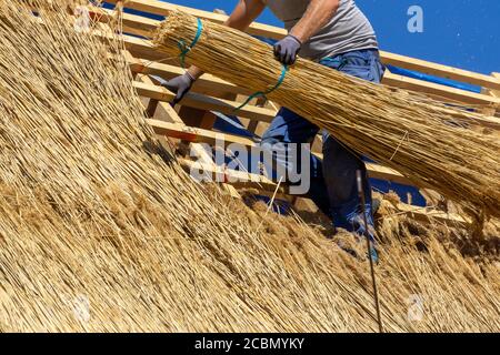 Handwerker bedeckt neues Dach mit Schilf Stockfoto