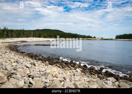 Bäume und Sandfelsen umrunden eine Bucht auf der Schoodic Halbinsel Im Acadia National Park in Maine Stockfoto