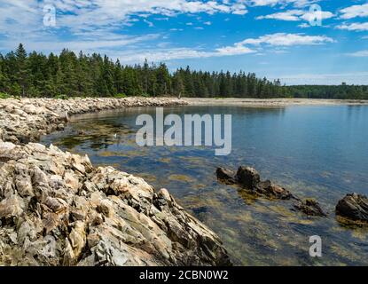 Bäume umgeben eine Bucht in der Schoodic Halbinsel in der Acadia Nationalpark in Maine Stockfoto