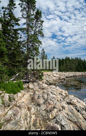 Bäume umgeben eine Bucht in der Schoodic Halbinsel in der Acadia Nationalpark in Maine Stockfoto