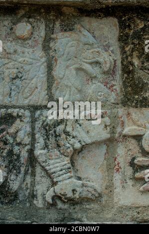 Eine Reliefschnitzerei eines Adlers am Tempel von Der Krieger in der Archäologischen Zone Chichen Itza (UNESCO-Weltkulturerbe) auf dem Yucatan Peninsul Stockfoto