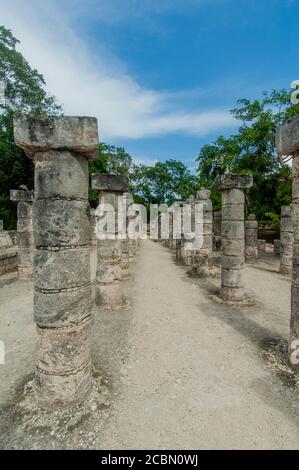 Das Quadrat der tausend Spalten am Tempel von Der Krieger in der Archäologischen Zone Chichen Itza (UNESCO-Weltkulturerbe) auf der Yucatan PE Stockfoto