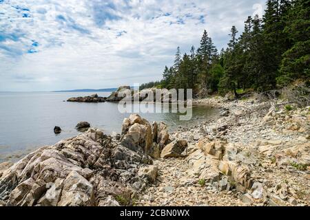 Bäume umgeben eine Bucht in der Schoodic Halbinsel in der Acadia Nationalpark in Maine Stockfoto