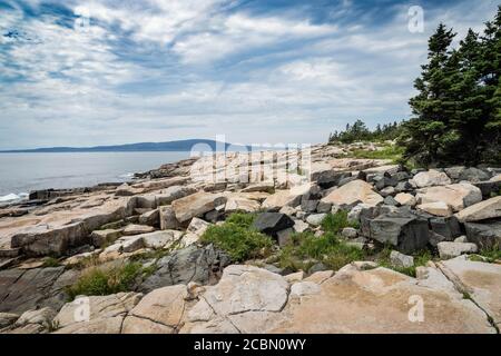 Bäume und Granitfelsen am Schoodic Point in Acadia National Park in Maine Stockfoto