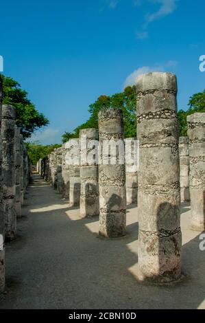 Das Quadrat der tausend Spalten am Tempel von Der Krieger in der Archäologischen Zone Chichen Itza (UNESCO-Weltkulturerbe) auf der Yucatan PE Stockfoto
