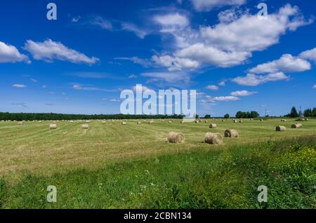 Schöne Sommerlandschaft mit Heuwälzen auf dem Wiesenplatz Und blauer Himmel Stockfoto