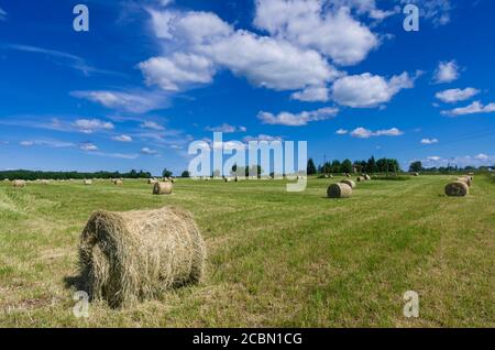 Wolkenlandschaft mit Grünfeld und Heurollen im Sommer Stockfoto