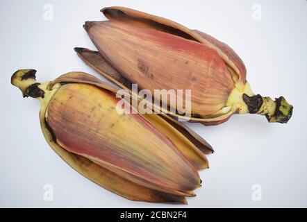 Exotisches Gemüse essbare Bananenblüte oder Bananenblüte. Weit verbreitet in verschiedenen Rezepten in Asien, indischen Subkontinent verwendet Stockfoto