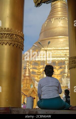 Yangon, Myanmar - 10. November 2019: Frau betet vor der Shwedagon Pagode, vertikale Aufnahme, Tageslicht. Stockfoto