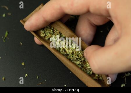 Man rollt Cananbis stumpf oder Joint close-up Draufsicht Stockfoto