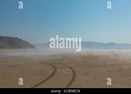 Die Reifenspuren des Fahrzeugs verschwinden im niedrigen Nebel, der hängt An einem sonnigen Tag über einem Sandstrand in Oregon Stockfoto