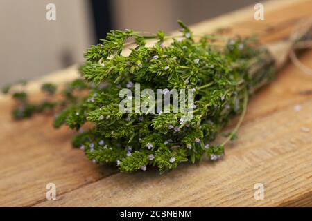 Thymian Bush junge saftig frisch Breckland wilden Thymian mit Fliederblüten und grünen Blättern auf einem Holztisch Nahaufnahme. Unscharfe Hintergrundumgebung Stockfoto