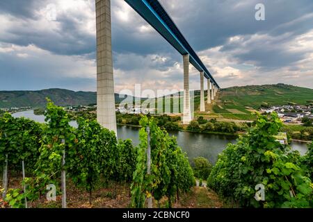 Die Hochmoselbrücke, Bundesstraße B50 mit der Hochmoselbrücke, 160 Meter hoch und 1.7 Kilometer lang, über das Moseltal, ne Stockfoto