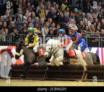 Shetland Pony Grand National Stockfoto