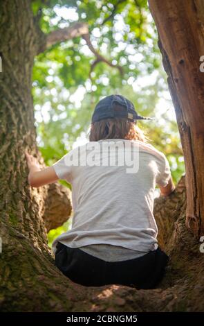 Kleiner Junge sitzt in einem Baum Stockfoto