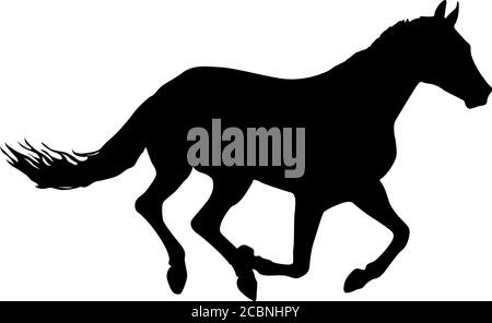 Silhouette von schwarzem Mustang Pferd auf weißem Hintergrund. Stock Vektor