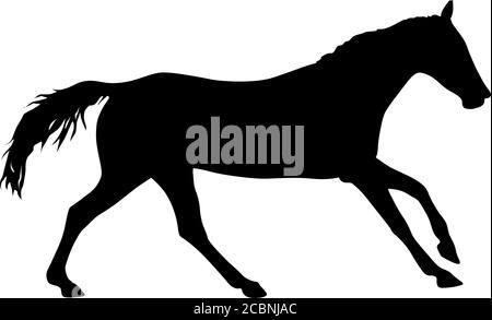 Silhouette von schwarzem Mustang Pferd auf weißem Hintergrund. Stock Vektor