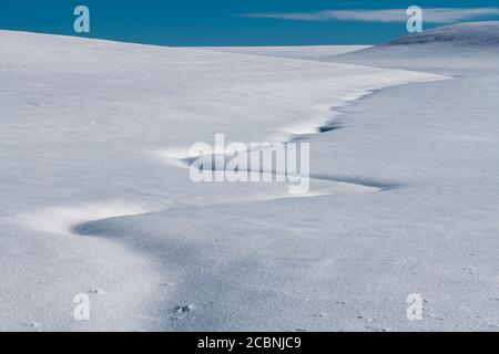 Winterlandschaft im Palouse, WA Stockfoto